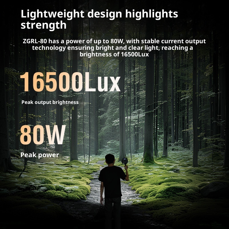 ZGRL80 80W COB LED-videolamp H - Photography Lighting Outdoor recensie en prijs